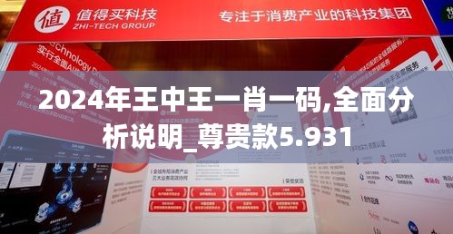 2024年王中王一肖一码,全面分析说明_尊贵款5.931