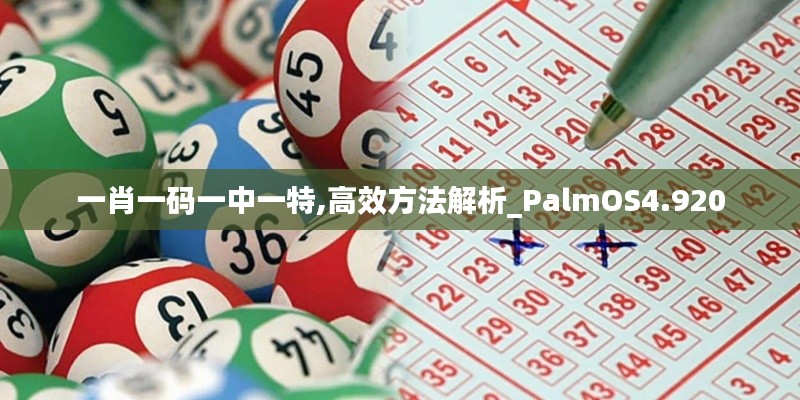 一肖一码一中一特,高效方法解析_PalmOS4.920