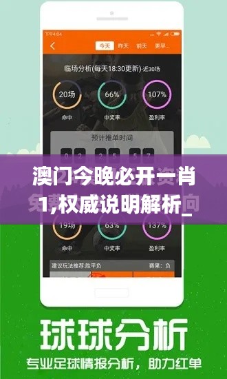 澳门今晚必开一肖1,权威说明解析_YE版5.953