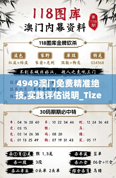 4949澳门免费精准绝技,实践评估说明_Tizen13.698