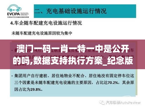 澳门一码一肖一特一中是公开的吗,数据支持执行方案_纪念版2.469