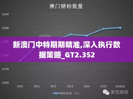 新澳门中特期期精准,深入执行数据策略_GT2.352