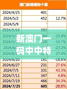 新澳门一码中中特,实地方案验证_3K19.284