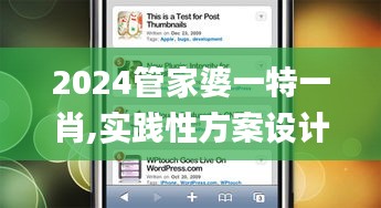 2024管家婆一特一肖,实践性方案设计_WP110.351