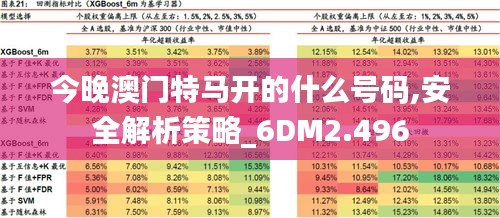 今晚澳门特马开的什么号码,安全解析策略_6DM2.496