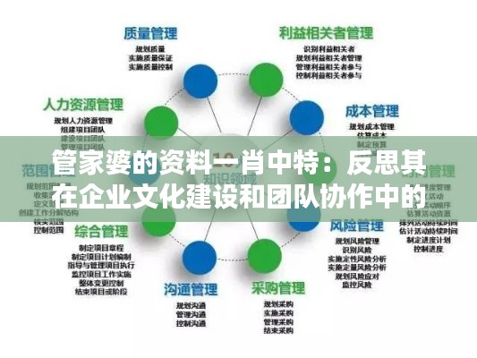 管家婆的资料一肖中特：反思其在企业文化建设和团队协作中的深远影响