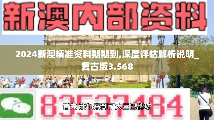 2024新澳精准资料期期到,深度评估解析说明_复古版3.568