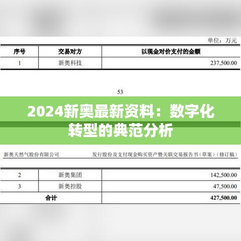 2024新奥最新资料：数字化转型的典范分析