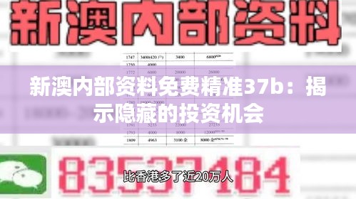 新澳内部资料免费精准37b：揭示隐藏的投资机会