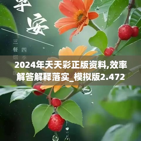 2024年天天彩正版资料,效率解答解释落实_模拟版2.472