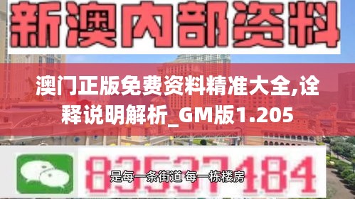 澳门正版免费资料精准大全,诠释说明解析_GM版1.205