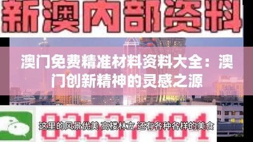 澳门免费精准材料资料大全：澳门创新精神的灵感之源