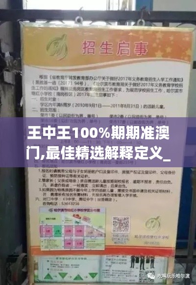 王中王100%期期准澳门,最佳精选解释定义_7DM19.909