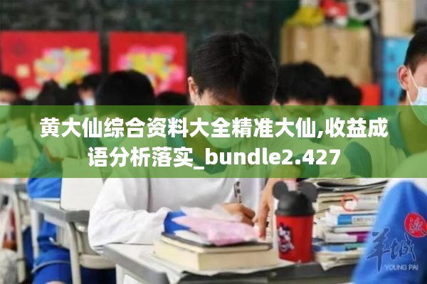 黄大仙综合资料大全精准大仙,收益成语分析落实_bundle2.427