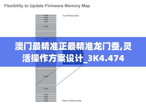 澳门最精准正最精准龙门蚕,灵活操作方案设计_3K4.474