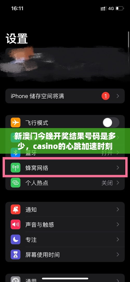 新澳门今晚开奖结果号码是多少，casino的心跳加速时刻