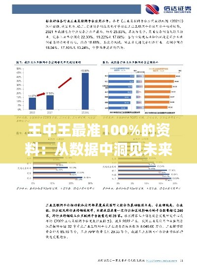 王中王最准100%的资料：从数据中洞见未来的钥匙