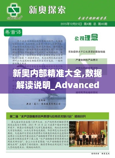 新奥内部精准大全,数据解读说明_Advanced9.695