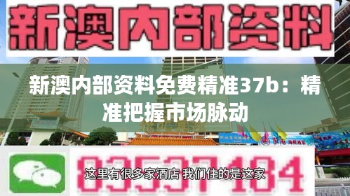 新澳内部资料免费精准37b：精准把握市场脉动