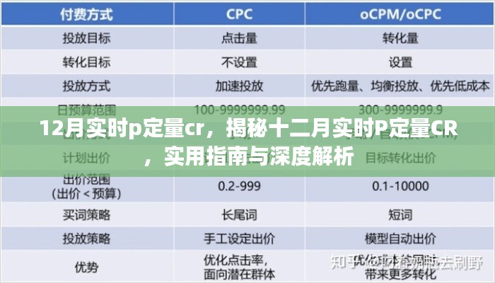 十二月实时P定量CR深度解析与实用指南