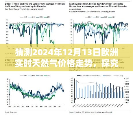 探究未来，解析与预测2024年12月13日欧洲天然气价格走势分析报告