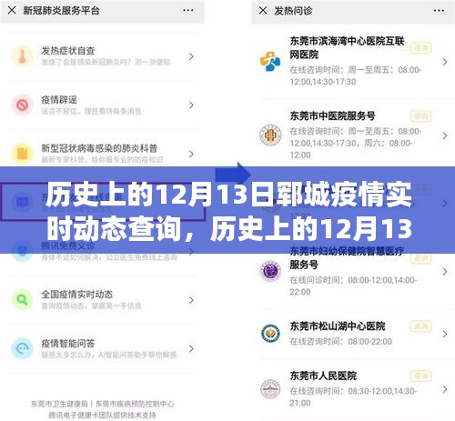 历史上的12月13日郓城疫情实时动态查询及其系统评测报告概述