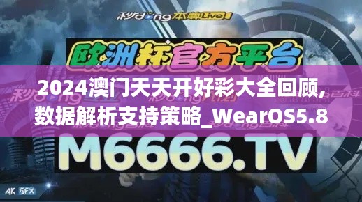 2024澳门天天开好彩大全回顾,数据解析支持策略_WearOS5.853