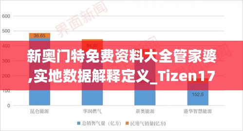 新奥门特免费资料大全管家婆,实地数据解释定义_Tizen17.654