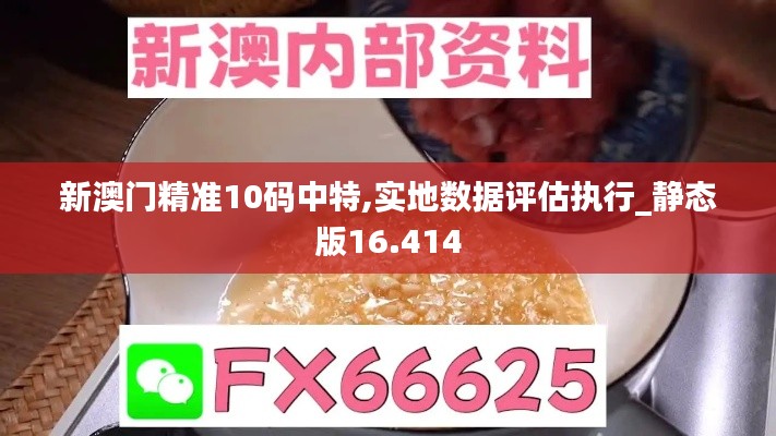 新澳门精准10码中特,实地数据评估执行_静态版16.414