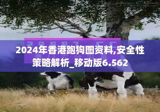 2024年香港跑狗图资料,安全性策略解析_移动版6.562