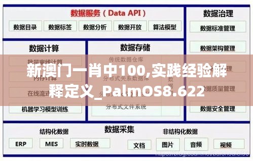 新澳门一肖中100,实践经验解释定义_PalmOS8.622