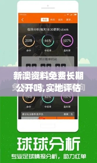 新澳资料免费长期公开吗,实地评估策略_android6.701