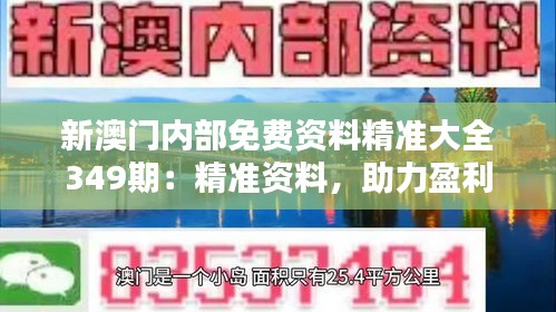 新澳门内部免费资料精准大全349期：精准资料，助力盈利