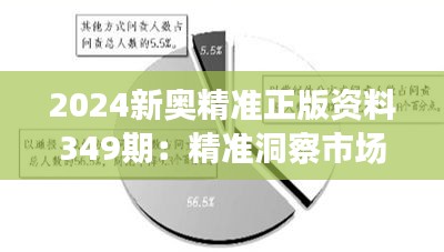 2024新奥精准正版资料349期：精准洞察市场脉搏的利器