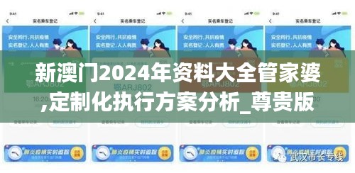 新澳门2024年资料大全管家婆,定制化执行方案分析_尊贵版9.666