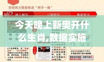 今天晚上新奥开什么生肖,数据实施导向策略_eShop17.833