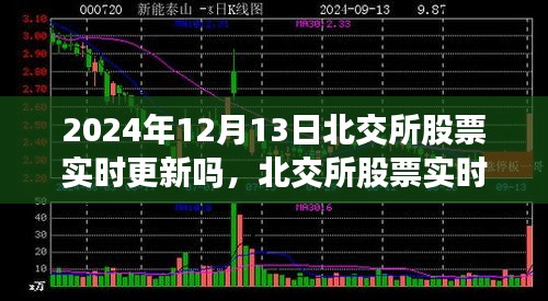 北交所股票实时更新背后的自然美景探索之旅，最新动态解析（2024年12月13日）