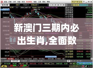 新澳门三期内必出生肖,全面数据分析方案_V26.606