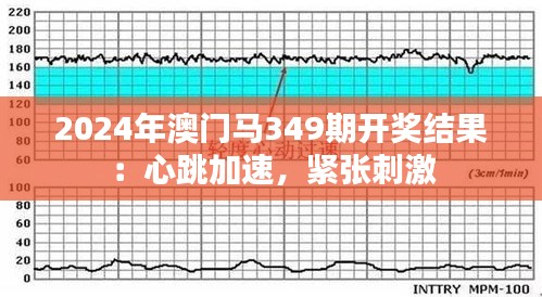 2024年澳门马349期开奖结果：心跳加速，紧张刺激