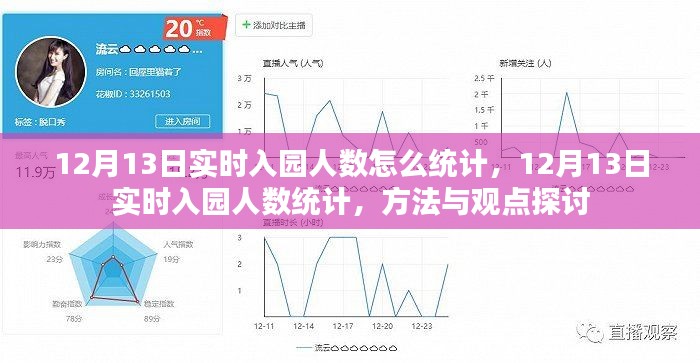 12月13日实时入园人数统计方法与观点探讨