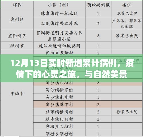 疫情下的心灵之旅，实时新增病例与寻找内心宁静港湾的旅程