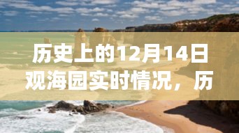 观海园心灵之旅，历史12月14日的实时观察与平静发现