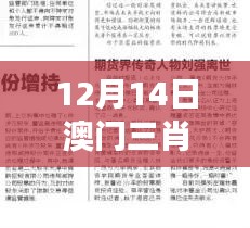 12月14日澳门三肖三码精准100%黄大仙：黄大仙如何引领赌界风向标