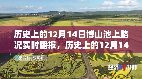 历史上的12月14日博山池上路况深度解析与实时播报回顾