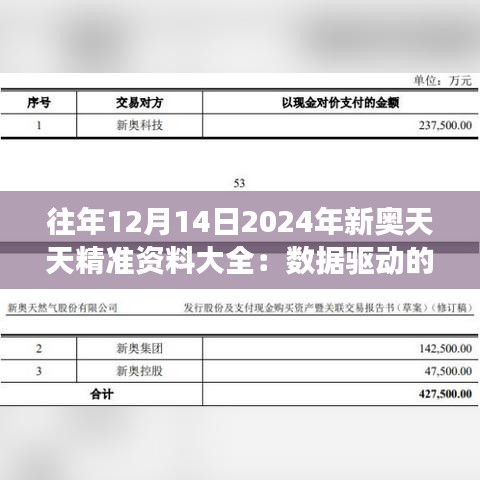 往年12月14日2024年新奥天天精准资料大全：数据驱动的业务增长利器