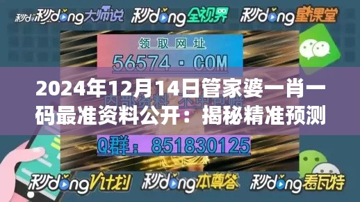 2024年12月14日管家婆一肖一码最准资料公开：揭秘精准预测的秘籍