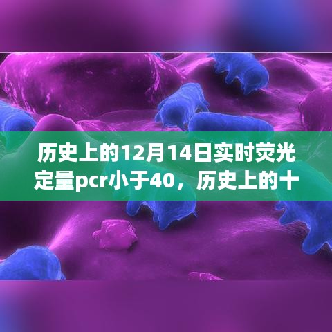 实时荧光定量PCR技术突破，历史上的十二月十四日里程碑事件，荧光定量PCR小于40的新纪元开启