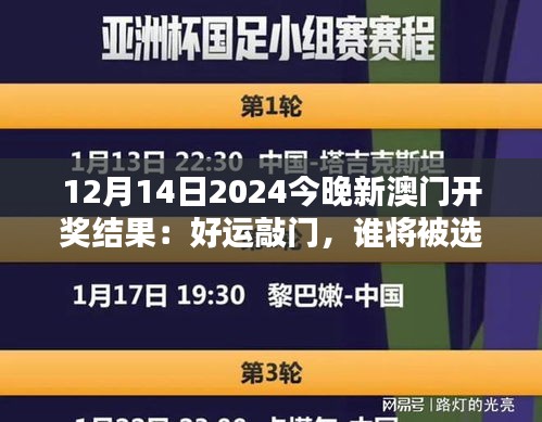 12月14日2024今晚新澳门开奖结果：好运敲门，谁将被选中