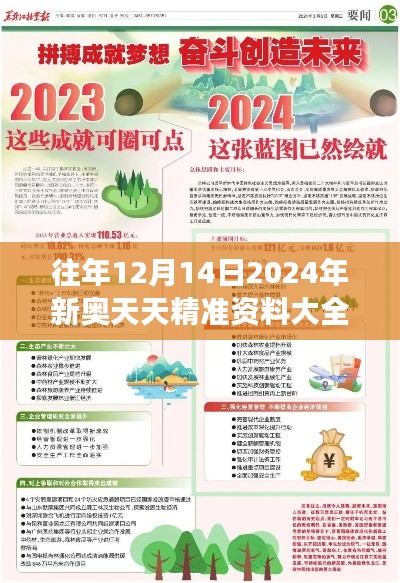 2024年12月14日 第11页