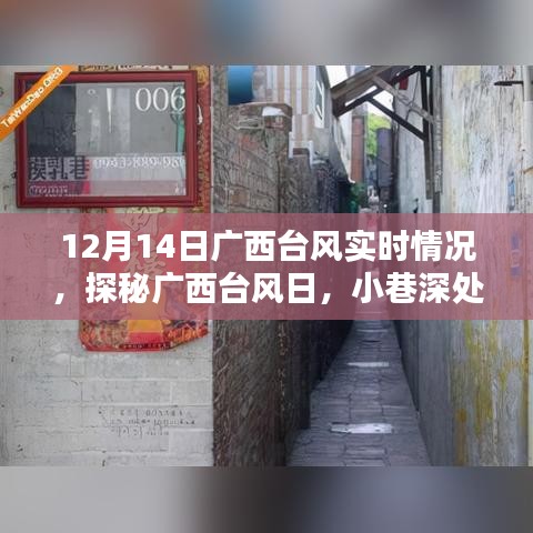 广西台风日探秘，小巷深处的独特风味与实时风情（12月14日台风实时更新）